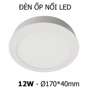 Đèn ốp nổi LED tròn 12W