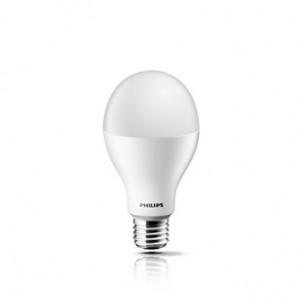 bóng led philips